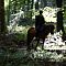 DSCN1544.JPG