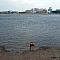 DSCF1258.jpg