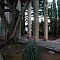 DSCN4079-Copie.JPG