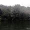 IMG-0436.JPG