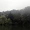 IMG-0438.JPG