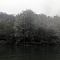 IMG-0439.JPG