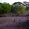 DSCF1193.JPG