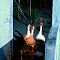 DSCF0858-copie-4.jpg