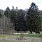 DSC09101.JPG