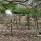 DSC08979.JPG