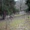 DSCF9363.JPG