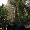 DSCF9784.JPG