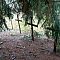 DSC08903.JPG