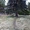 DSC09080.JPG